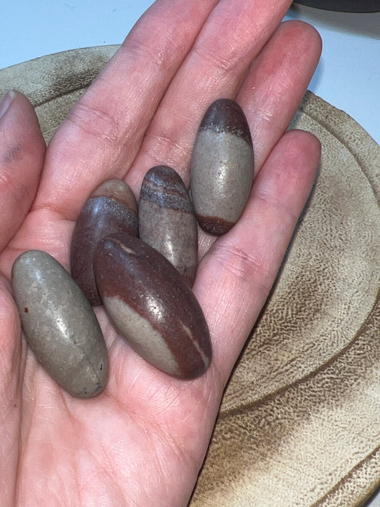 Rodado Shiva Lingam (unidad)