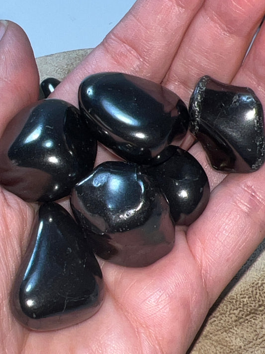 Rodado Shungit (unidad)