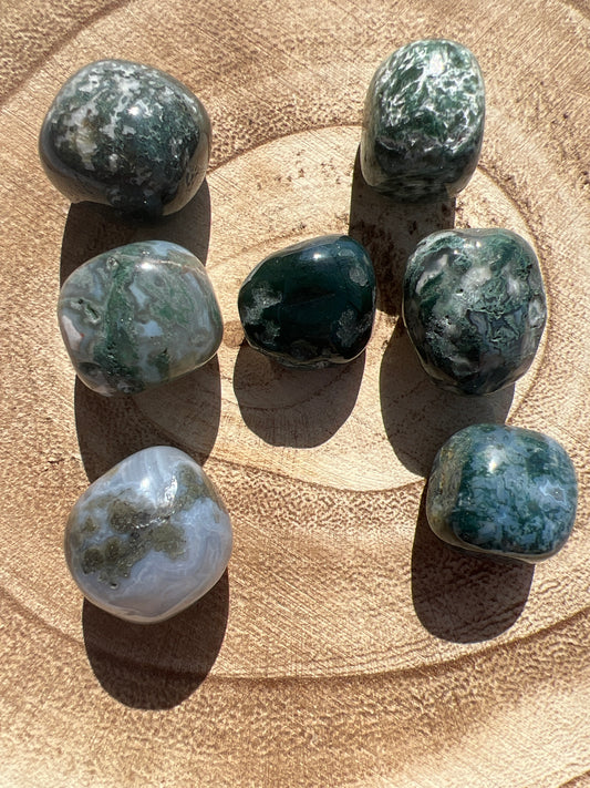 Rodado de Ágata Musgo (unidad)