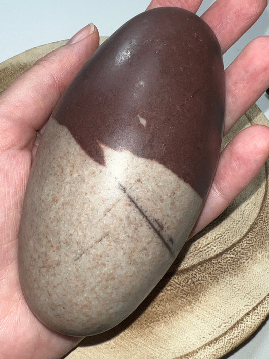 Rodado de Shiva Lingam/Tamaño extra grande (vídeo)