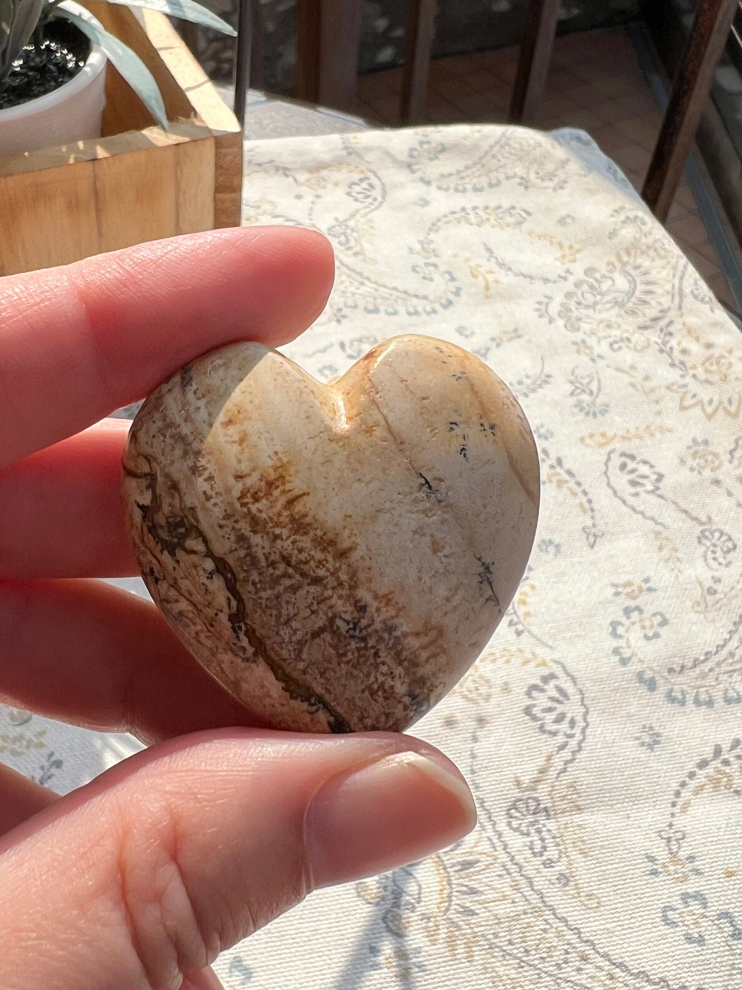 Corazón Plano de Jaspe Paisina - Enraizamiento | Amatena (vídeo al final)